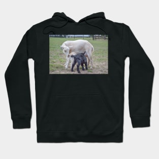 Mom and baby goats Hoodie